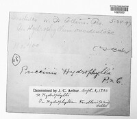 Image Associated With the Occurence